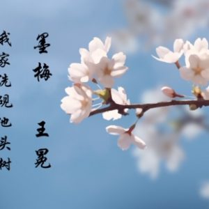 10.04 诗情画意_墨梅（手绘）